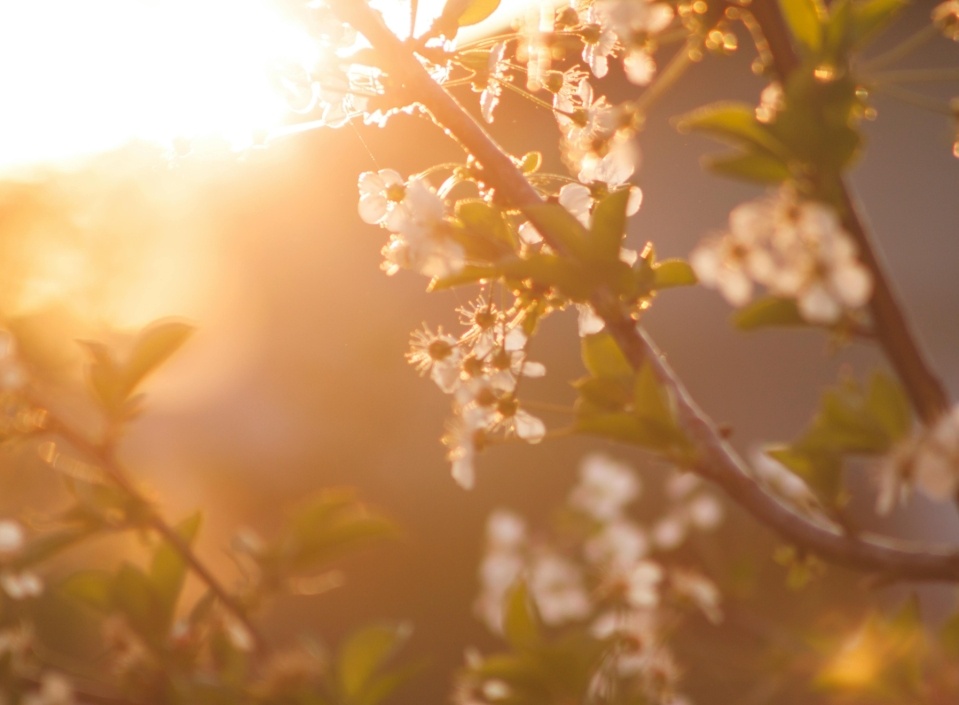 Dates de fermeture printemps 2025